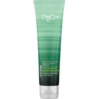 H2O Plus Anti-Acne Clarifying Face Wash