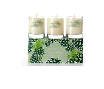 Roland Pine Pure Soy Candle Votive Gift Set