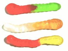 DiabeticFriendly® Sugar Free Assorted Fruit Gummy Worms (1lb/bulk)