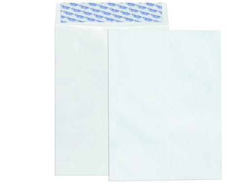 Columbian CO801 9x12-Inch Tyvek White Envelopes, 100 Count
