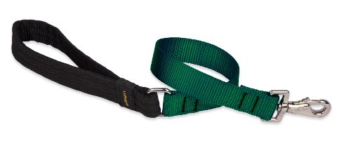 LupinePet Basics 3/4 Green 2-foot Traffic Lead/Leash for Medium and Larger Dogs