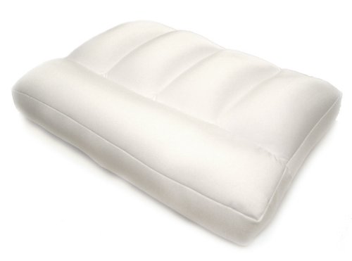 Pinzon by Amazon Micro Bead Therapy Pillow with Cover