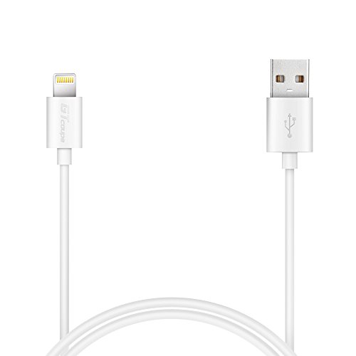 [Apple MFi Certified] Gtcoupe Lightning To USB Cable 1.0m White