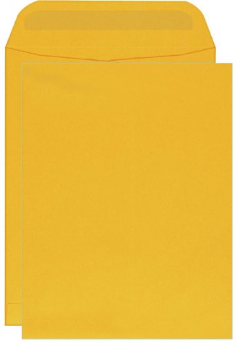 Columbian CO729 6x9-Inch Catalog Self-Seal Brown Kraft Envelopes, 100 Count