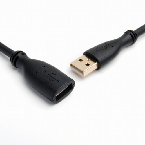 BlueRigger High Speed USB 2.0 Extension Cable (6 Feet)