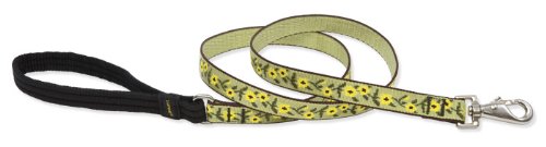 LupinePet 3/4-Inch Suzie Q 6-Foot Dog Lead