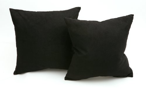Newpoint Microsuede 16-Inch-by-16-Inch Feather and Down Filled Pillows, 2-Pack