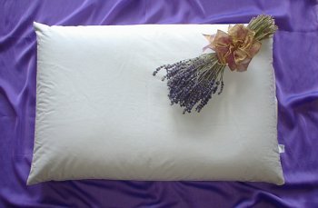 Beans72 Organic Aromatherapy Buckwheat Pillow - Twin/ Standard Size (20 x 26)