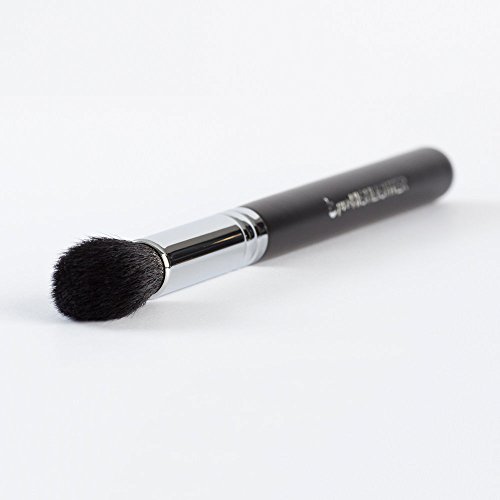 pro Tapered Highlighter Brush: Soft Synthetic Bristles for Full Face Highlighting; Tapered Point to Highlight Eyes and Brow Bone; Works with Creams, Powders and Minerals; Professional Quality