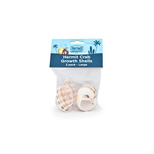 Flukers Hermit Crab Growth Shells, Large, 2-Pack