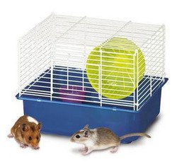 My First Hamster Home