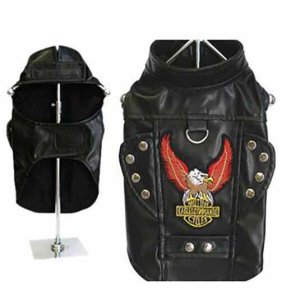 Born To Ride Motorcycle Harness Jacket