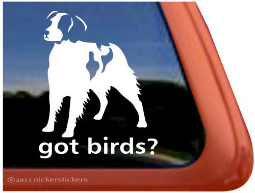 GOT BIRDS? ~ American Brittany Dog Vinyl Window Auto Decal Sticker