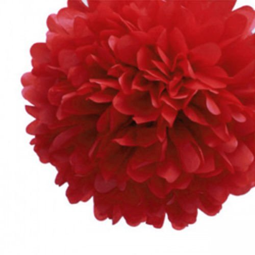 LingsFire® 10 Pack 10 Inch Tissue Paper Flower Ball Pom-poms For Party / Wedding / Home / Outdoor Decoration