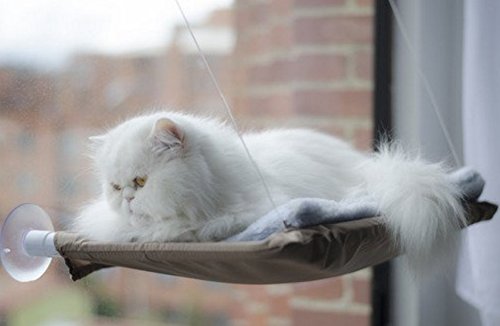 Window Mounted Cat Bed with Free Cat Teaser Toy