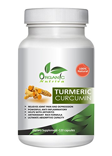 100% Pure and Potent Turmeric Curcumin Extract By Organic Nutriva ? Best Selling Premium Quality! Anti-inflammatory Effect for Pain Relief and Healthy Joints ? Relieves Chronic Fatigue - With Bioperine Black Pepper Extract ? 95% Curcuminoids for Maximum Strength with No Fillers, No Additives or Artificial Element. ? Clinically Proven As Best Natural Joint Health Supplement - 1 Bottle