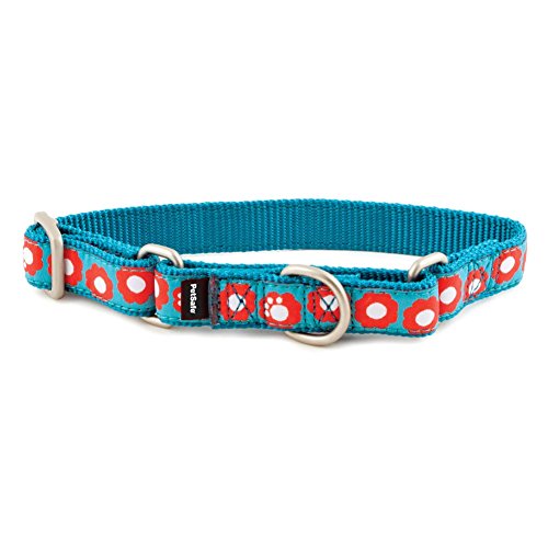 PetSafe Fido Finery Martingale Style Collar, Teal My Heart