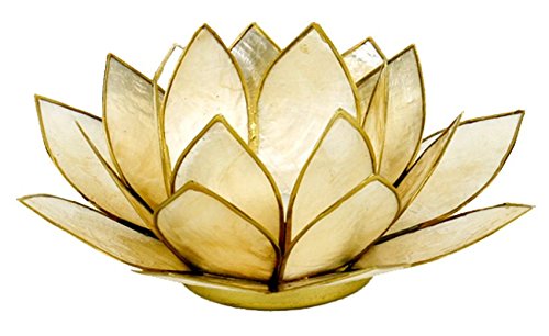 Something Different Lotus Tea Candle Light Holder Capiz Shell Smoked Gold Trim