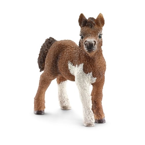 Schleich Shetland Pony Foal Toy Figure