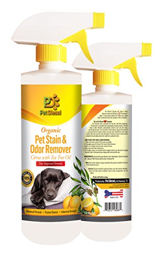 2 PACK Organic Pet Stain & Odor Remover: Citrus By Pet Diesel Qty 2x17 oz Best Organic Enzyme Cleaner For Pet Odor Elimination & Dog, Cat Urine Stain Removal - 34 oz