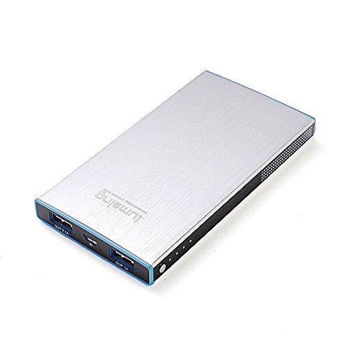 Lumsing Portable Charger Power Bank for Smartphones Tablets(6000mAh Li-Polymer silver)