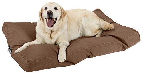 STAINMASTER Cozy Pillow Pet Bed, Large 44-By-29 Inch, Chocolate Brown