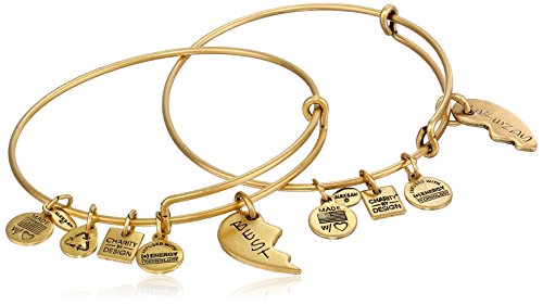 Alex and Ani Charity By Design Best Friends Bangle Bracelet, Set Of 2