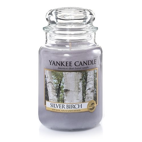 Yankee Candle Silver Birch Large Jar Candle