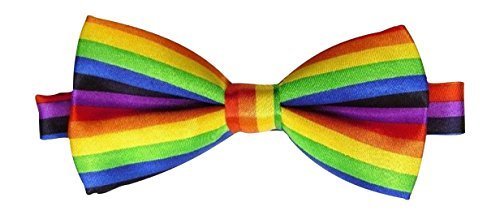 Mens Satin Rainbow Adjustable Bow Tie One Size Fits All