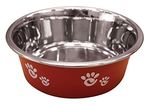 Ethical Pet Barcelona Matte and Stainless Steel Pet Dish, 16-Ounce, Raspberry