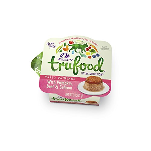 Wellness TruFood Tasty Pairings Grain Free Pumpkin, Beef & Salmon Natural Raw Wet Cat Food, 3-Ounce Cup