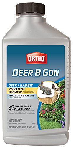 Ortho Deer B Gon Deer and Rabbit Repellent Concentrate, 32-Ounce