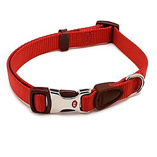 Aspen Pet 0326217 Signature Series 3/4-Inch by 10-14-Inch Adjustable Collar (Autumn Red)