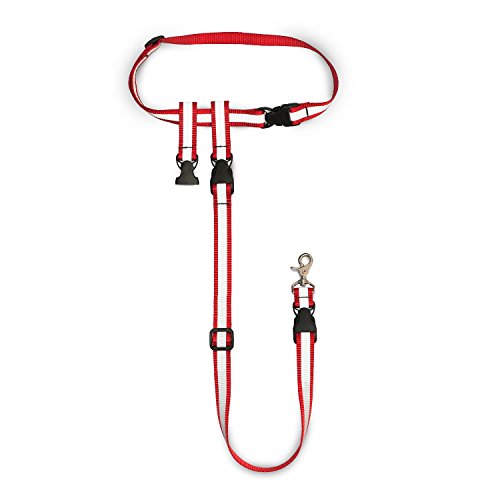 The Buddy System - Adjustable Hands Free Leash - Great for Running - Regular Dog