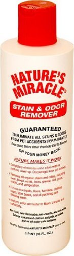 Original Formula Stain & Odor Remover