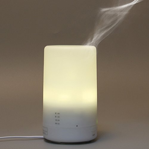 Ultrasonic Essential Oil Aroma Diffuser Humidifier LED Air Mist Purifier With Timer