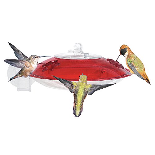 Droll Yankees WH3 Window Mount Hummer Feeder with Nectar Guard