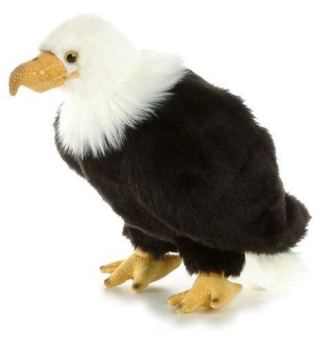 10.5 Regal Eagle Wildlife
