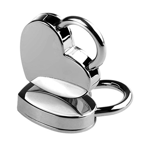 Sealike Cute Mini Love Heart Padlock and Key for Valentine's Day Gift and Wedding Favor with Stylus