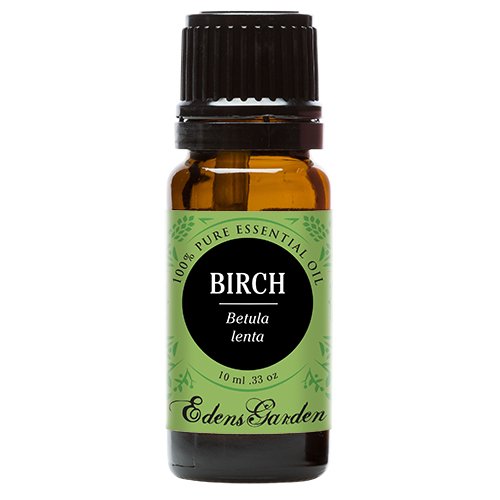 Birch 100% Pure Therapeutic Grade Essential Oil by Edens Garden- 10 ml