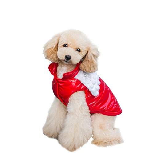 Angel Wings Designer Dog Clothes Winter for Puppy Cat (red,M)