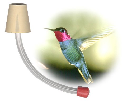 Hummbird Feeder Tube For Making Your Own Hummingbird Feeder