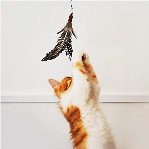 Cat Toys, Cat Wire Dangler Wand Toys with Beads Bells and Feather, Interactive cat teaser, charmer dancer pole toy