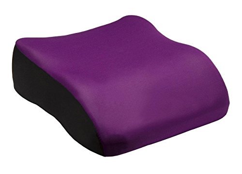 All Ride Booster Seat - Purple