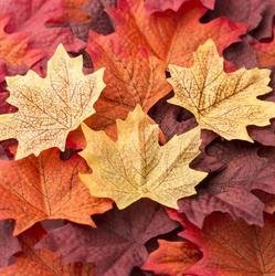 Factory Direct Craft® Artificial Fall Maple Leaves in a Mixture of Autumn Colors - Great Autumn Table Scatters for Fall Weddings & Autumn Parties (80, Dark Autumn Color Mixture)