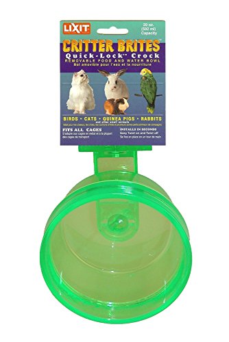Lixit Corporation SLX0510 Critter Brites Small Animal Quick Lock Crock, 10-Ounce, Colors Vary
