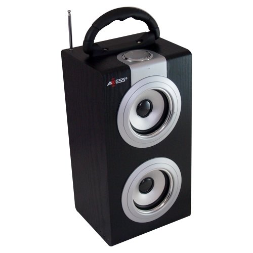 Axess SP1001-SL Music Box Speaker Includes FM Stereo, USB/Line-In Inputs, Remote Control, Rechargeable Battery (Silver)