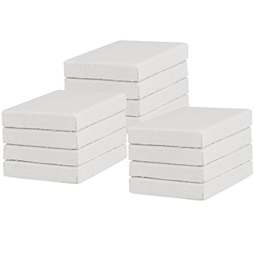 US Art Supply 3 x 4 Mini Professional Primed Stretched Canvas (1-Pack of 12-Mini Canvases)