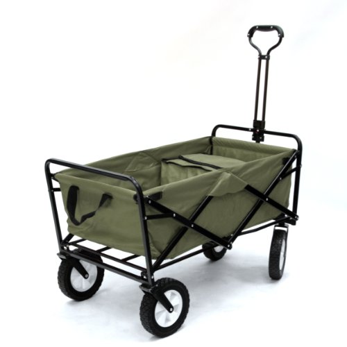 Portable, Folding Wagon with Matching Cooler