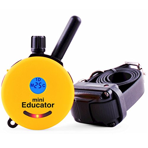 Educator ET-300TS 1/2-Mile Mini E-Collar Remote Dog Trainer